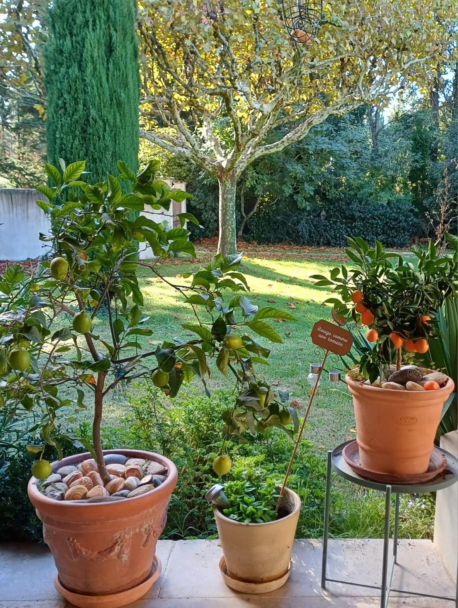 Bed and Breakfast La Goutadou Cabannes Екстер'єр фото